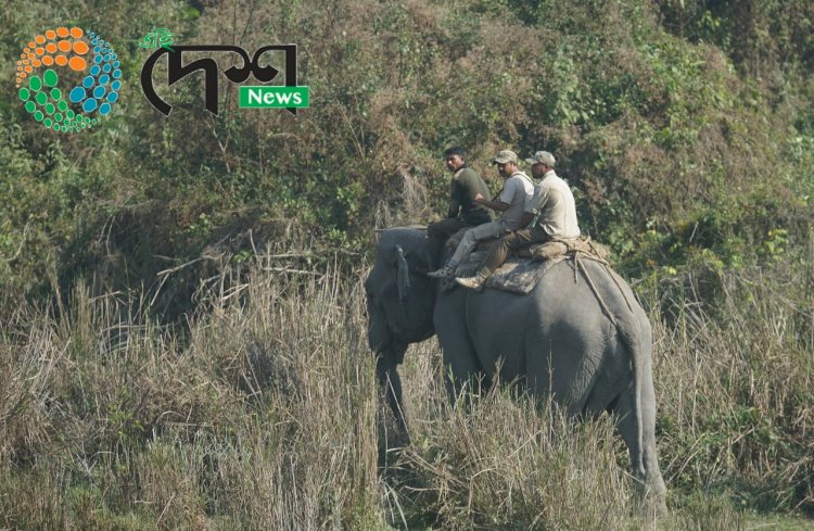 কাজিৰঙা ৰাষ্ট্ৰীয় উদ্যানত সপ্তাহ জোৰা হাতী গণনাৰ সমাপ্তি  : কাইলৈ নমুনা সংগ্ৰহ কৰিব নিৰ্বাচিত খণ্ডত  :