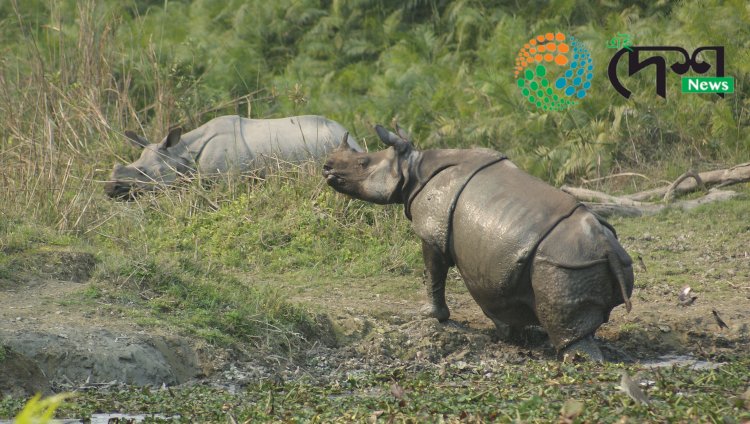 ৮ মাৰ্চত কাজিৰঙালৈ আহিব প্ৰধানমন্ত্ৰী নৰেন্দ্ৰ মোডী  : নিশা কাজিৰঙাতে থাকি ৯ মাৰ্চত কাজিৰঙা দৰ্শন কৰিব প্ৰধানমন্ত্ৰীয়ে  :