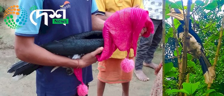 লখৌজান চাহ বাগিছাৰ পৰা ধনেশ চৰাই উদ্ধাৰ : চিকিৎসাৰ বাবে বন্যপ্ৰাণী পুনৰ সংস্থাপন আৰু সংৰক্ষণ কেন্দ্ৰলৈ প্ৰেৰণ  :