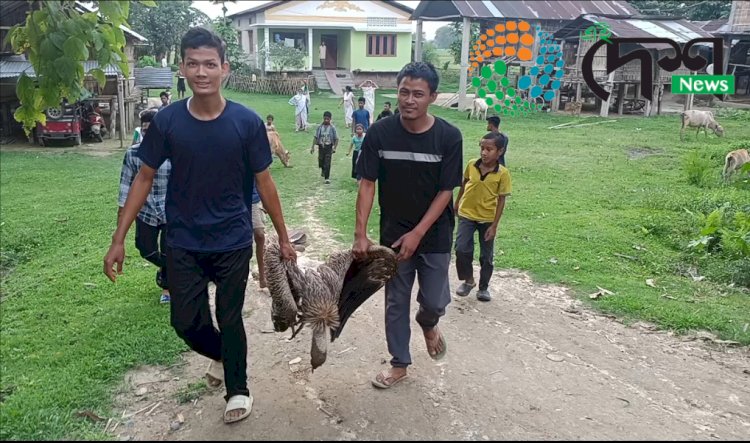 বোকাখাতৰ বহিখোৱা পথাৰৰ পৰা শগুন উদ্ধাৰ  : বিহ ক্ৰিয়া হোৱাৰ সন্দেহ : বন্যপ্ৰাণী পুনৰ সংস্থাপন আৰু সংৰক্ষণ কেন্দ্ৰত চিকিৎসা প্ৰদান কৰা হৈছে শগুনটোৰ  :