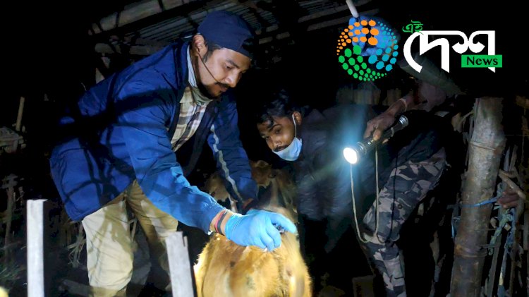 কাজিৰঙা ৰাষ্ট্ৰীয় উদ্যানৰ কাষৰীয় ব্ৰহ্মপুত্ৰৰ চাপৰিত পশুধনক প্ৰতিষেধক প্ৰদান অভিযান : ভক্তে চাপৰিৰ ৭৪৪ টা পশুধনক প্ৰতিষেধক প্ৰদানেৰে প্ৰথম অভিযান  :
