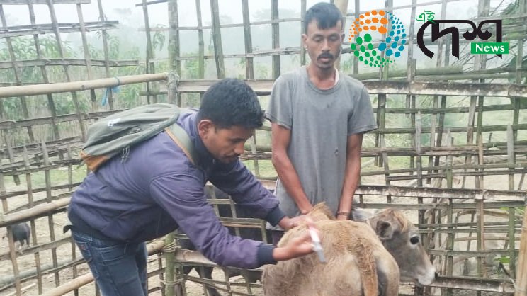 কাজিৰঙা ৰাষ্ট্ৰীয় উদ্যানৰ কাষৰীয় ব্ৰহ্মপুত্ৰৰ চাপৰিত পশুধনক প্ৰতিষেধক প্ৰদান অভিযান : ভক্তে চাপৰিৰ ৭৪৪ টা পশুধনক প্ৰতিষেধক প্ৰদানেৰে প্ৰথম অভিযান  :