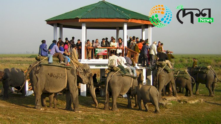 পৰ্যটন বৰ্ষৰ শেষত বিগত দহ বছৰৰ অভিলেখ ভংগ কৰি চলিত পৰ্যটন বৰ্ষত কাজিৰঙালৈ আহিল ৪২ লাখৰো অধিক দেশী বিদেশী পৰ্যটক  : ১০. ৯০ কোটি  টকাৰ ৰাজহ সংগ্ৰহ  :