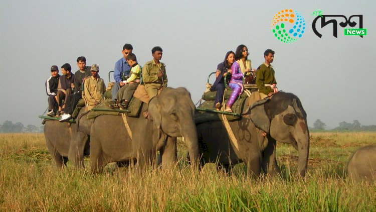 পৰ্যটন বৰ্ষৰ শেষত বিগত দহ বছৰৰ অভিলেখ ভংগ কৰি চলিত পৰ্যটন বৰ্ষত কাজিৰঙালৈ আহিল ৪২ লাখৰো অধিক দেশী বিদেশী পৰ্যটক  : ১০. ৯০ কোটি  টকাৰ ৰাজহ সংগ্ৰহ  :