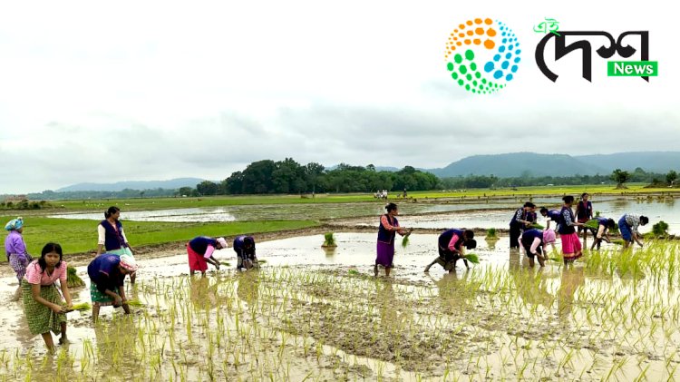 ৰাষ্ট্ৰীয় সেৱা যোজনাৰে পথাৰত ভুঁই ৰোৱাত ব্যস্ত বোকাখাতৰ জে ডি এছ জি মহাবিদ্যালয়ৰ ছাত্ৰ ছাত্ৰী  :