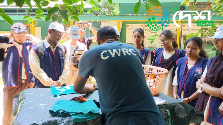 সম্ভাব্য বানপানীৰ সময়ত কাজিৰঙাৰ এনিমেল কৰিডৰত বনকৰ্মী সহায় কৰিব পৰাকৈ বন্যপ্ৰাণী পুনৰ সংস্থাপন আৰু সংৰক্ষণ কেন্দ্ৰত স্বেচ্ছাসেৱক ছাত্ৰ ছাত্ৰীৰ তৃতীয়টো প্ৰশিক্ষণ  :