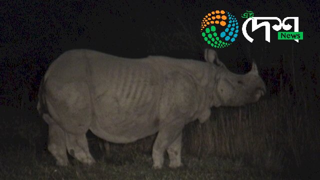 কাজিৰঙাৰ এনিমেল কৰিডৰত মটৰচাইকেলেৰে গঁড় পোৱালীক খুন্দিয়াই আহত দুজন : সম্প্ৰতি বনবিভাগৰ জিম্মাত দুই মটৰচাইকেল আৰোহী  : মটৰচাইকেলো জব্দ  :