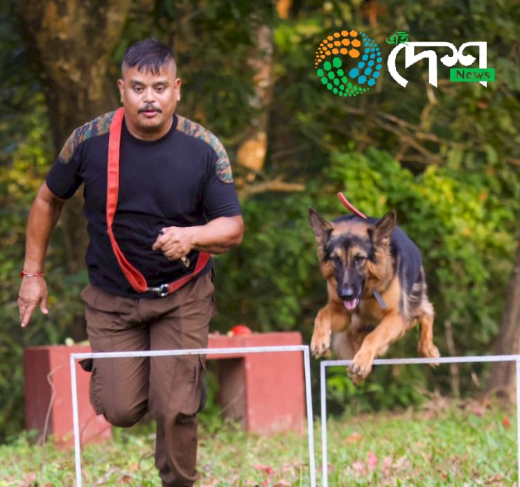 কাজিৰঙা ৰাষ্ট্ৰীয় উদ্যানত বন্যপ্ৰাণী অপৰাধ আৰু চোৰাংচিকাৰ ৰোধত নিয়োজিত স্নীফাৰ কুকুৰ আৰু পৰিচালকৰ বিশেষ কৰ্মশালা :