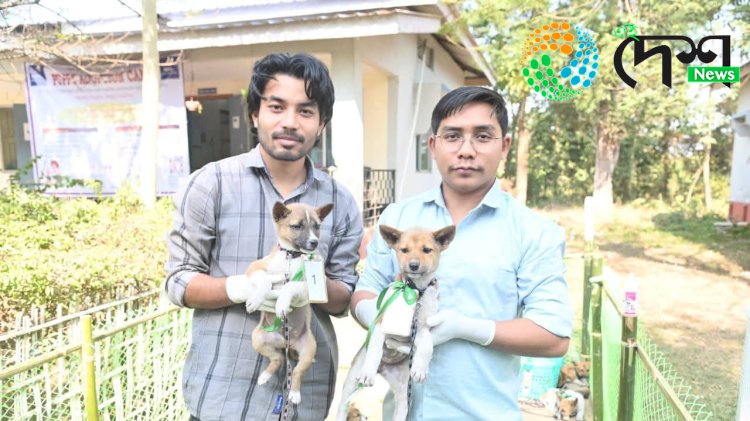 বোকাখাতত কুকুৰ পোৱালীৰ দত্তক শিৱিৰ : গৰাকী বিহীন ২৭ টা কুকুৰে পালে সঁহাৰি ::
