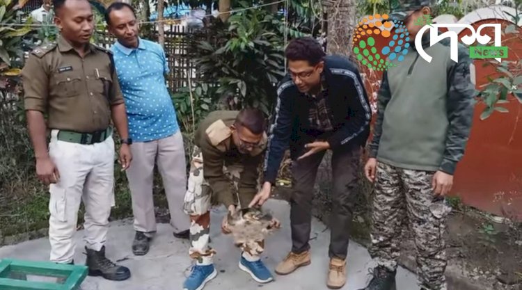 বোকাখাত সমজিলাৰ ৰজাবাৰীত বৰকাছ উদ্ধাৰ :