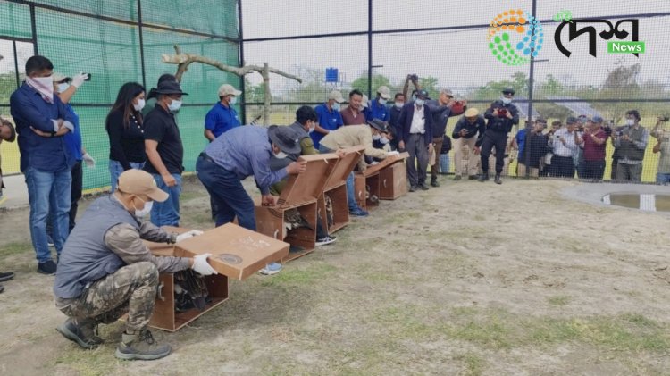 First time in India, five Slender-billed Vultures have been reintroduced at the Soft Release Centre in Kaziranga National Park.